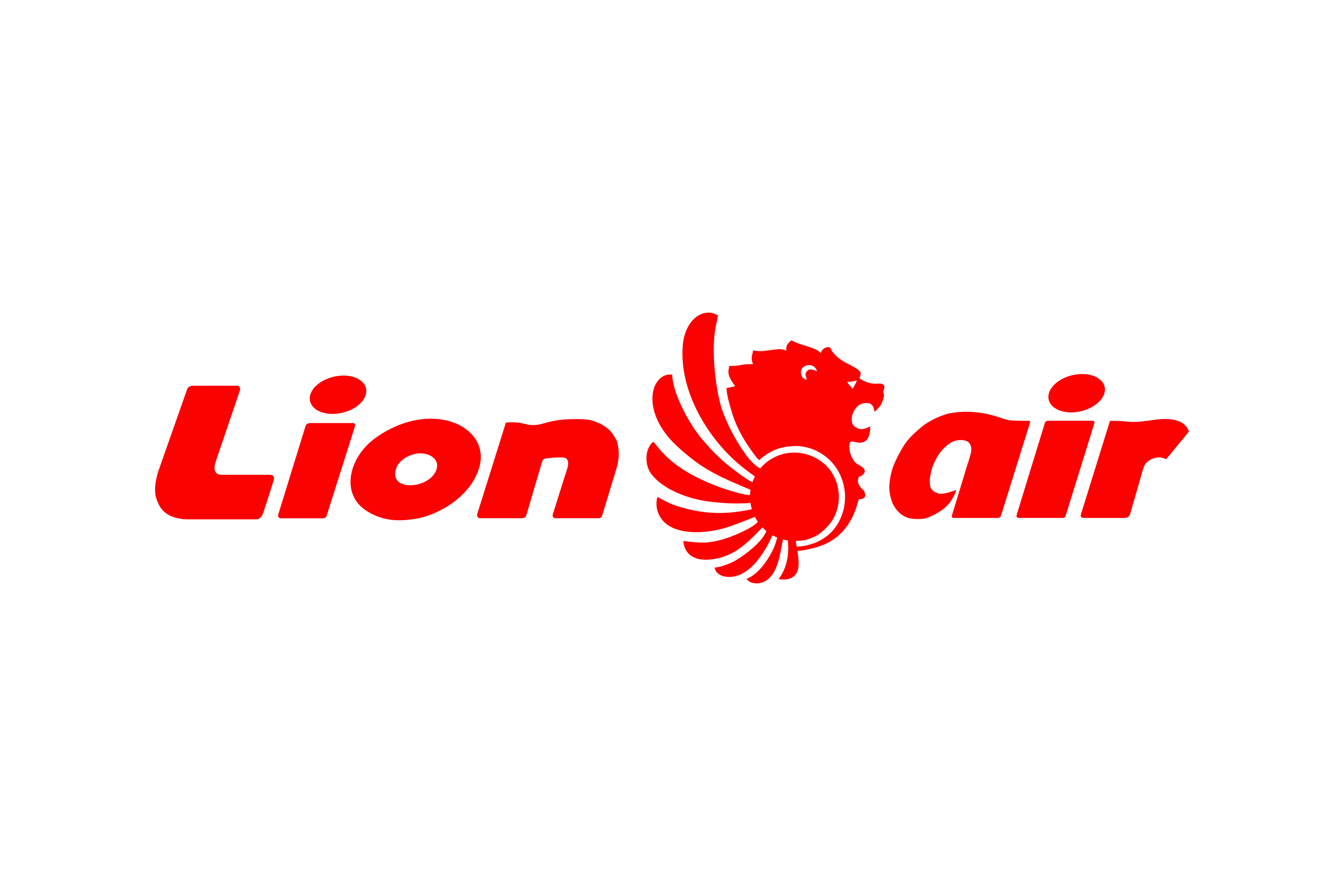 Partner Logo